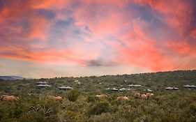 Kwandwe Private Game Reserve - Ecca Lodge